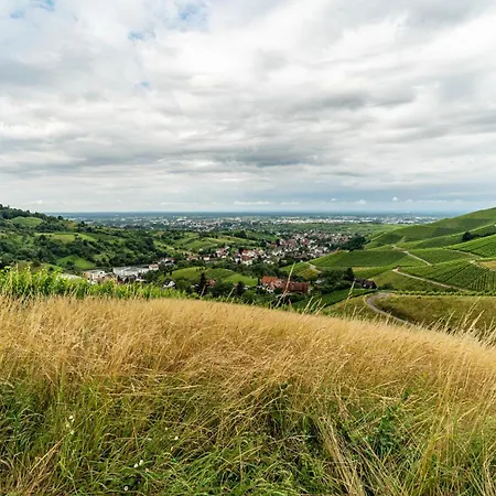 Lejlighed Ferienhaus Albert Bühl